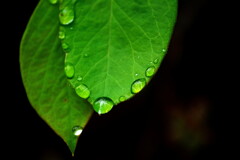 雨の造形