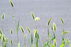 井戸端会議 井戸端会議