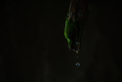 DSC00776