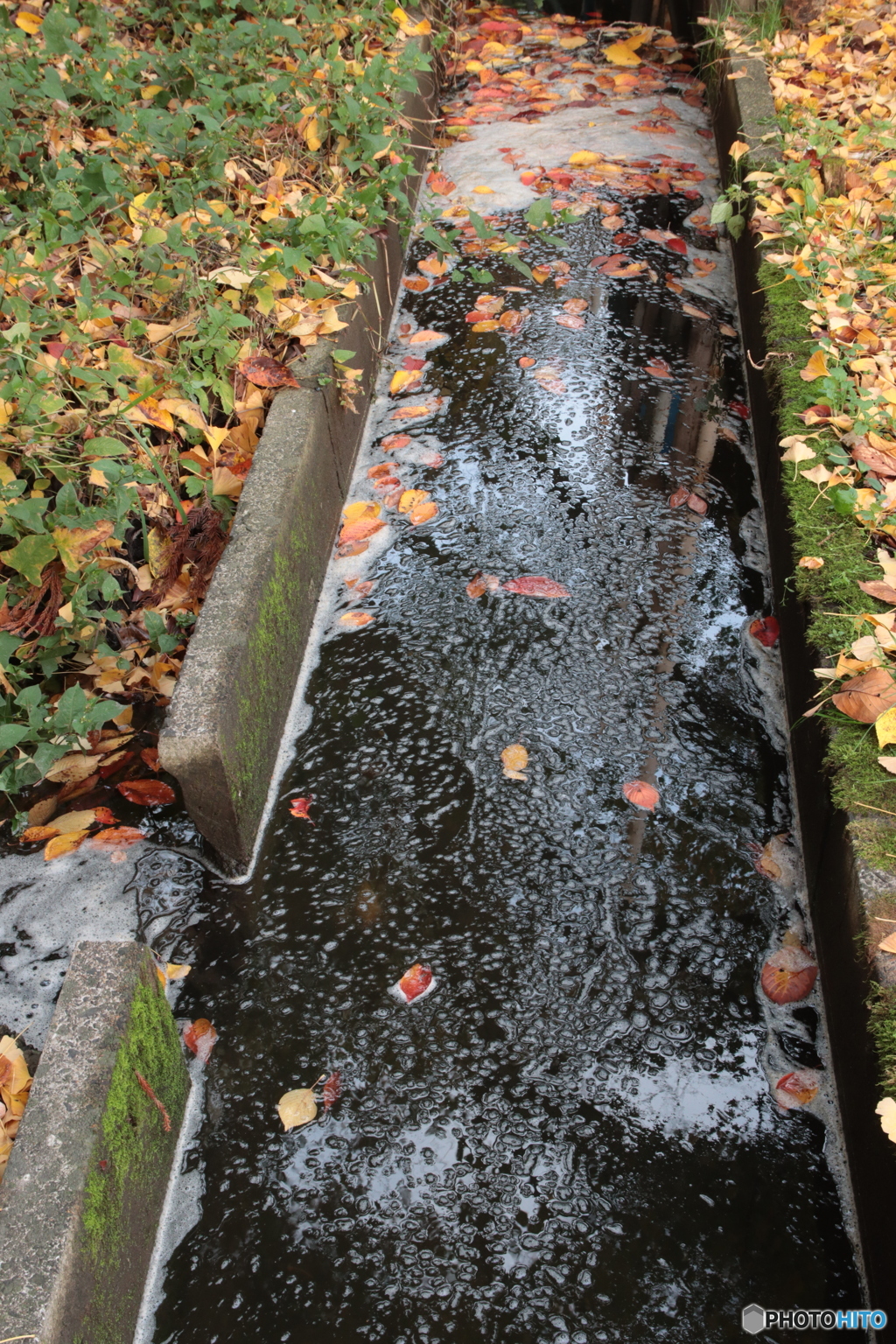 0224　落ちて流れて