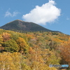 ２０２３紅葉ー７