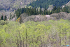 P1450151actpr