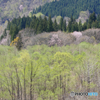 P1450151actpr