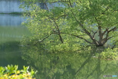 満水