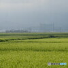 P1960585tpac　モヤッとな朝