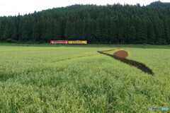 P1160651　田んぼアートを見ながら