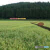 P1160651　田んぼアートを見ながら