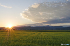 P1970917　ｍｏｒｎｉｎｇ