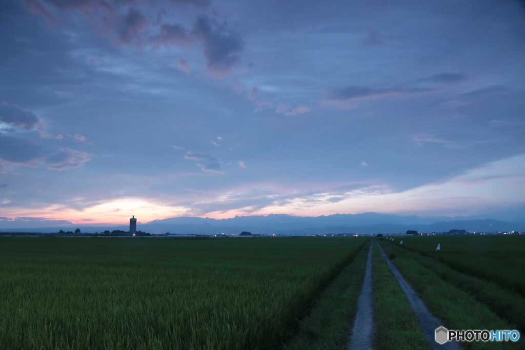 夏の朝