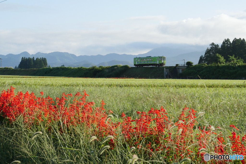 P1160631　秋田内陸線