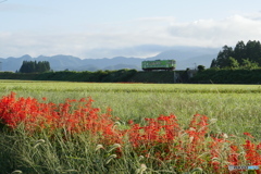 P1160631　秋田内陸線