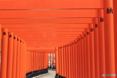 IMG_8393　奉納
