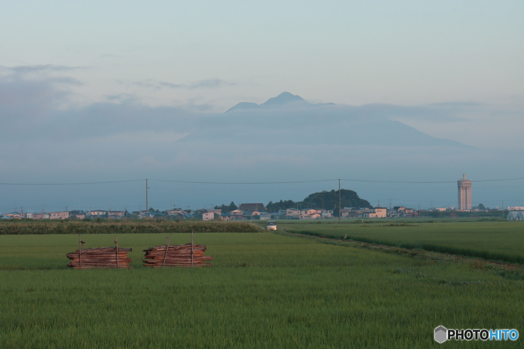 IMG_3558　背中の情景