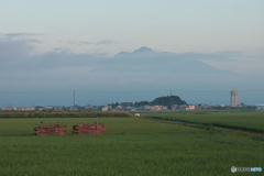 IMG_3558　背中の情景
