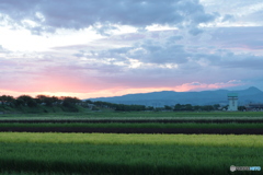 IMG_3055　南津軽