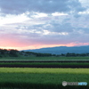 IMG_3055　田んぼ景色