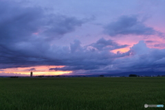 P1970154　朝ドラ