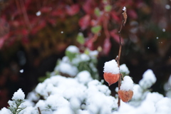 IMG_6743　スローダウン