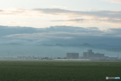 IMG_8882　濃霧注意報が出た朝