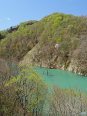 P1450176actpr