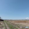IMG_3407actpr　春の平野