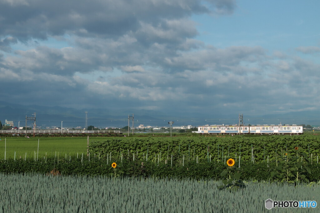 IMG_2732ac　令和の輝き