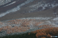 IMG_5553　初冬　３