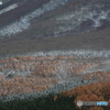 IMG_5553　初冬　３