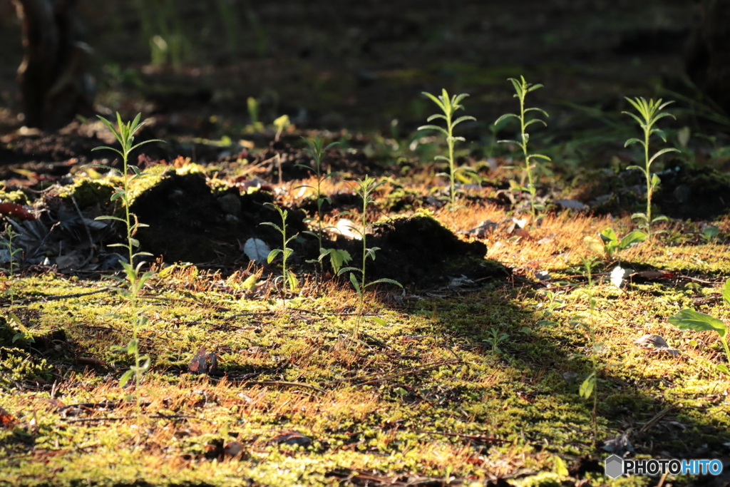 朝から元気な子供たち