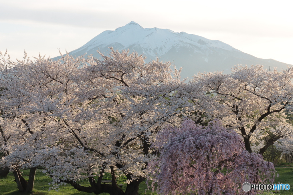 IMG_3940　薄暮
