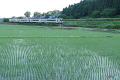 P1870217ac　色気のない朝