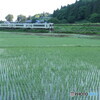 P1870217ac　色気のない朝