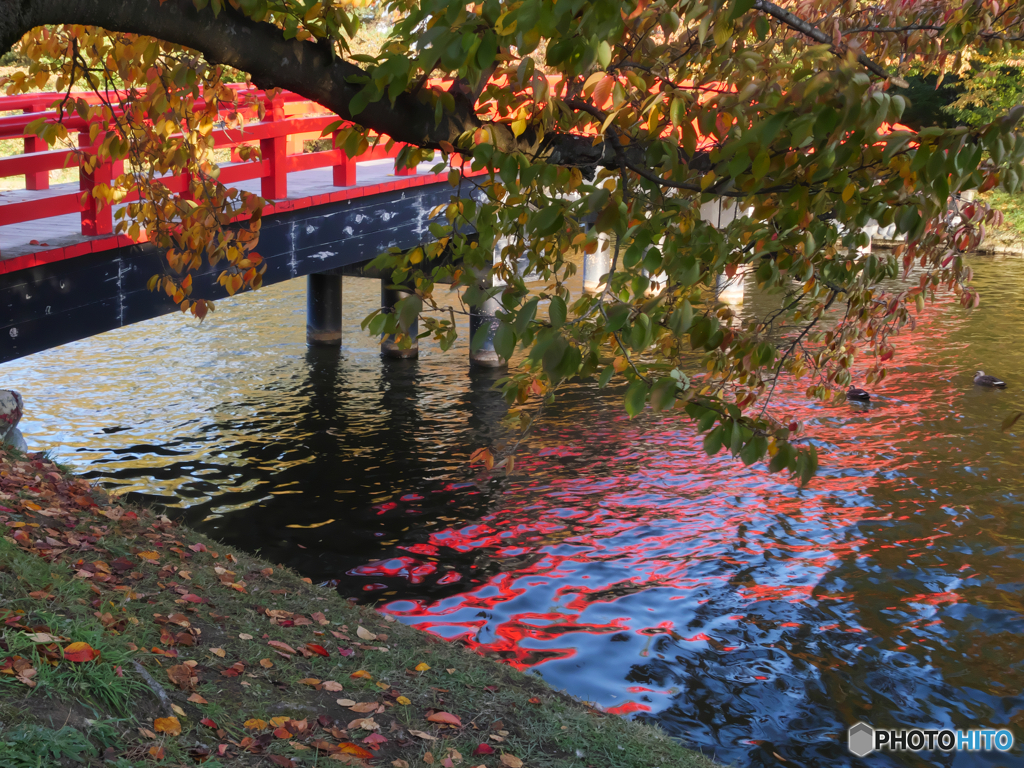 P1190771　朱の橋