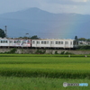 P1970425　残虹