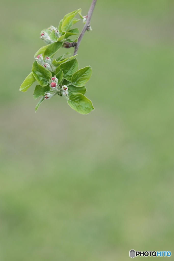 IMG_9887　見えた