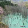 P1450170actpr
