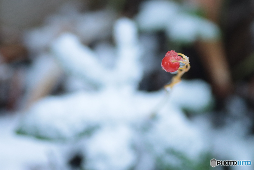 IMG_6706　鷲掴み