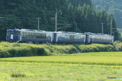 IMG_8734tp　新潟へ