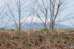 IMG_3139ac　朝の散歩写真００５