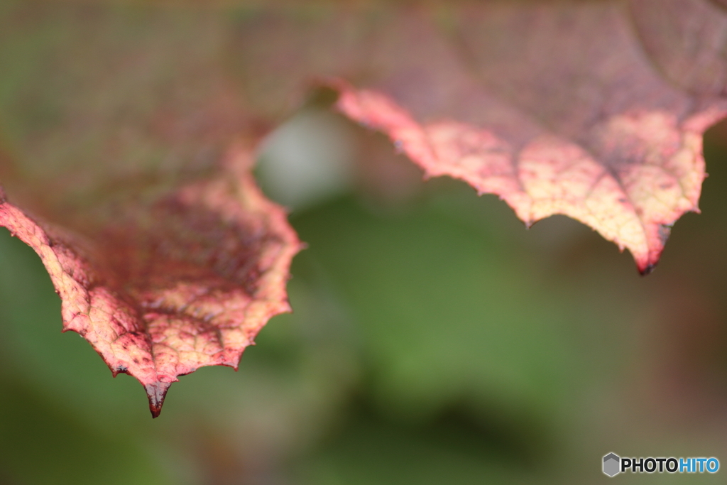 IMG_5782　薄化粧