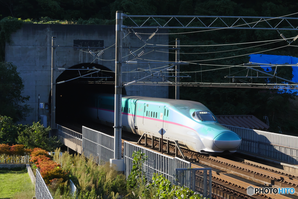 P1780340　はやぶさ
