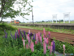 P1860208　見送りありがとう