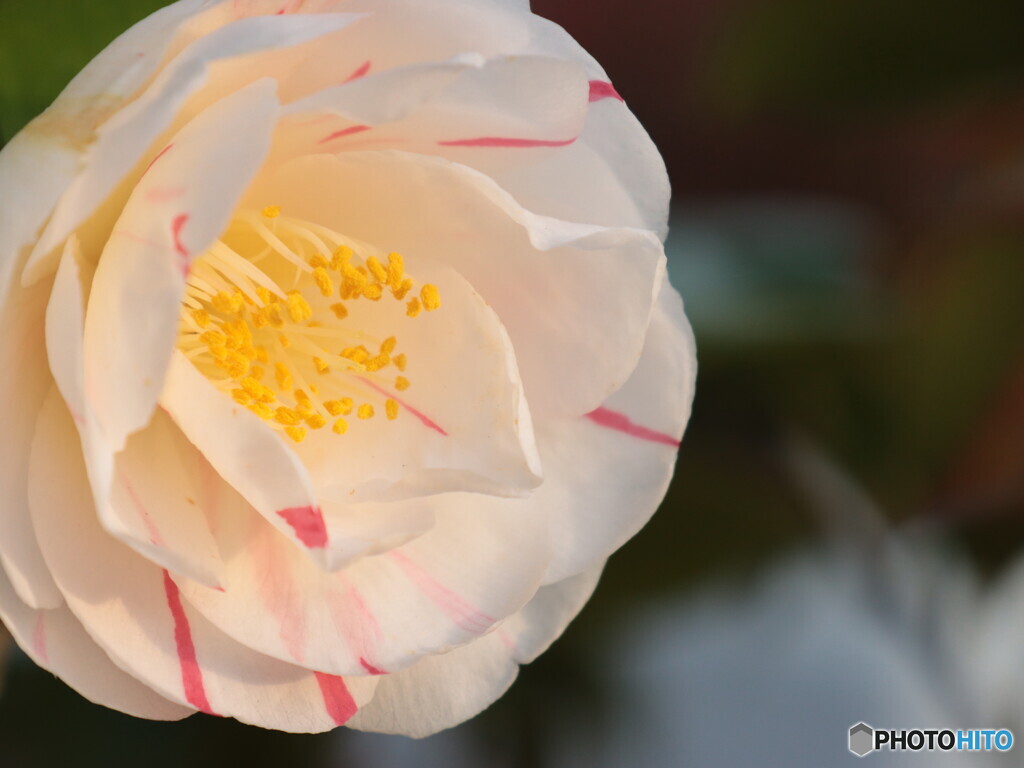 IMG_4718　薄化粧