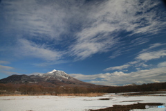 IMG_5804ph　初冬　２