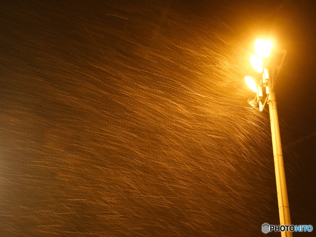 IMG_1478acr　吹雪の夜