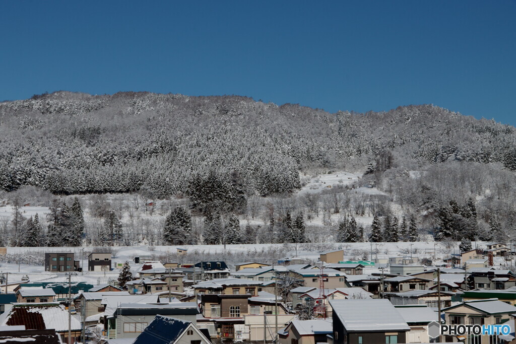 3619　新雪輝く