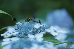 IMG_1574　休憩