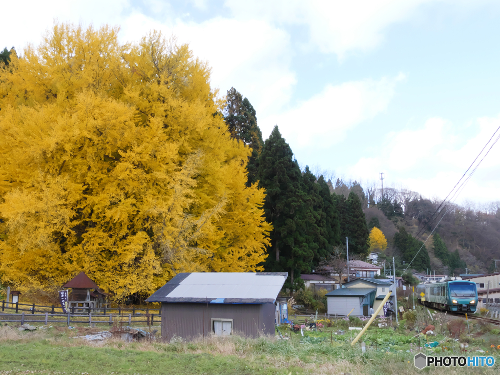 P1370562actpr　ビッグイエロー