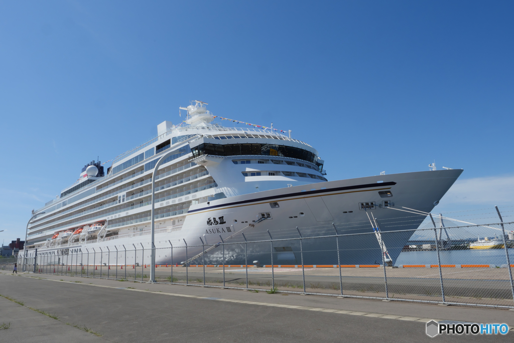 P2000086　飛鳥　Ⅲ