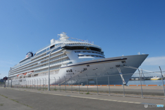 P2000086　飛鳥　Ⅲ